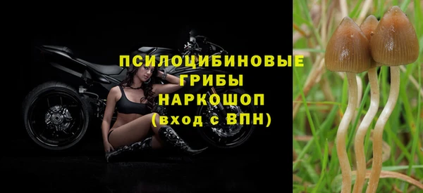 сатива Краснослободск