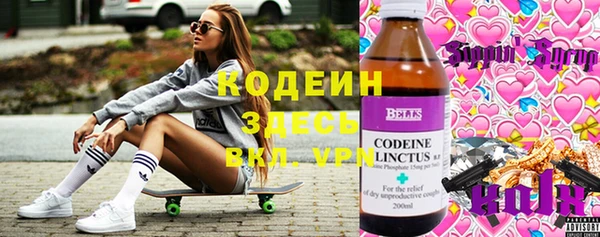 spice Лабытнанги