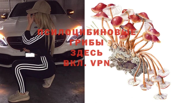 COCAINE Ладушкин