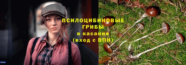 сатива Краснослободск