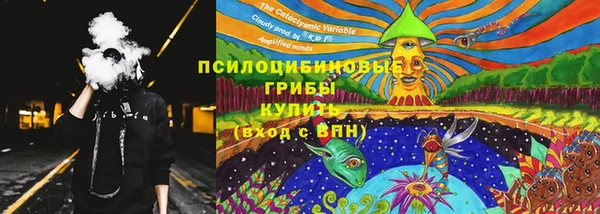 spice Лабытнанги