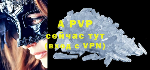 ГАЛЛЮЦИНОГЕННЫЕ ГРИБЫ Коряжма
