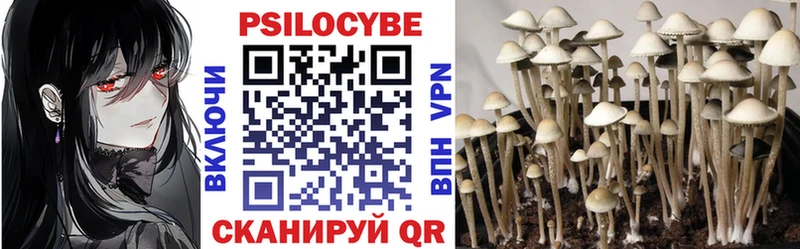 Галлюциногенные грибы Psilocybine cubensis  блэк спрут ССЫЛКА  Маркс 