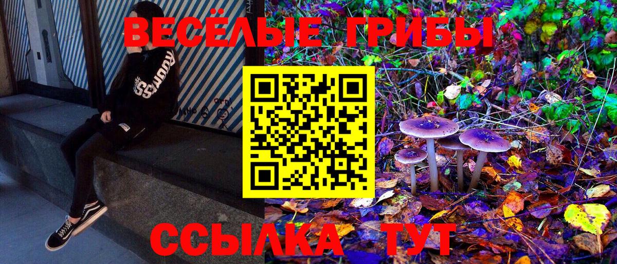 Галлюциногенные грибы Psilocybe  магазин продажи   Маркс  Вход с VPN 